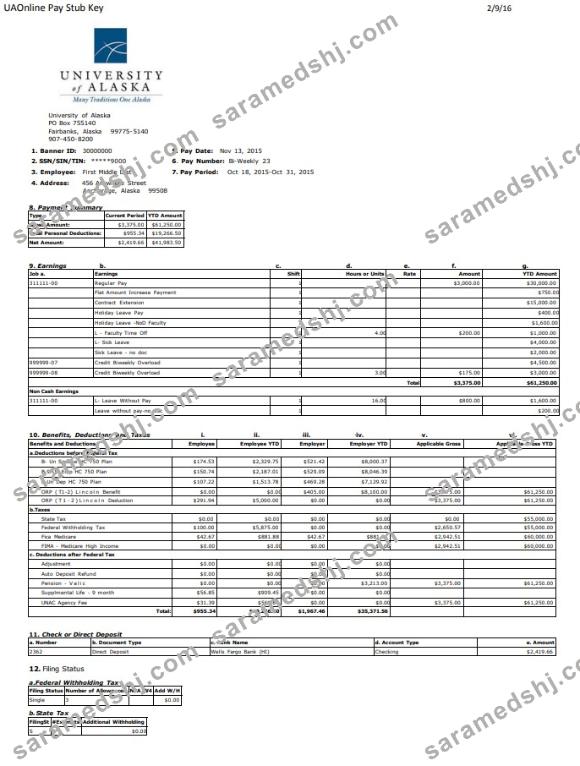 University of Alaska pay stub Word and PDF template